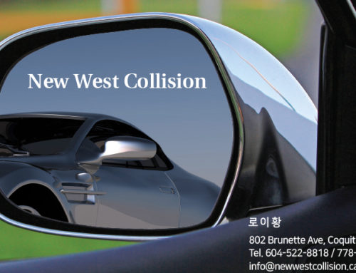 New West Collision / 로이 황